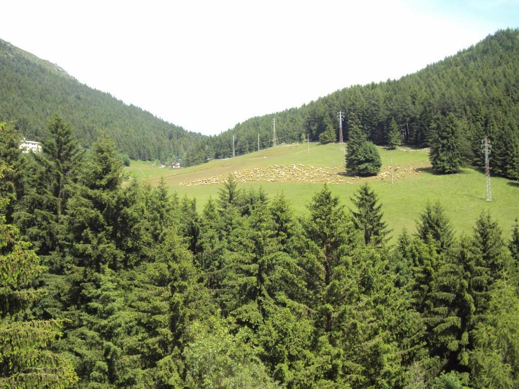 קסטיונה דלה פרסולאנה Hotel Des Alpes חדר תמונה