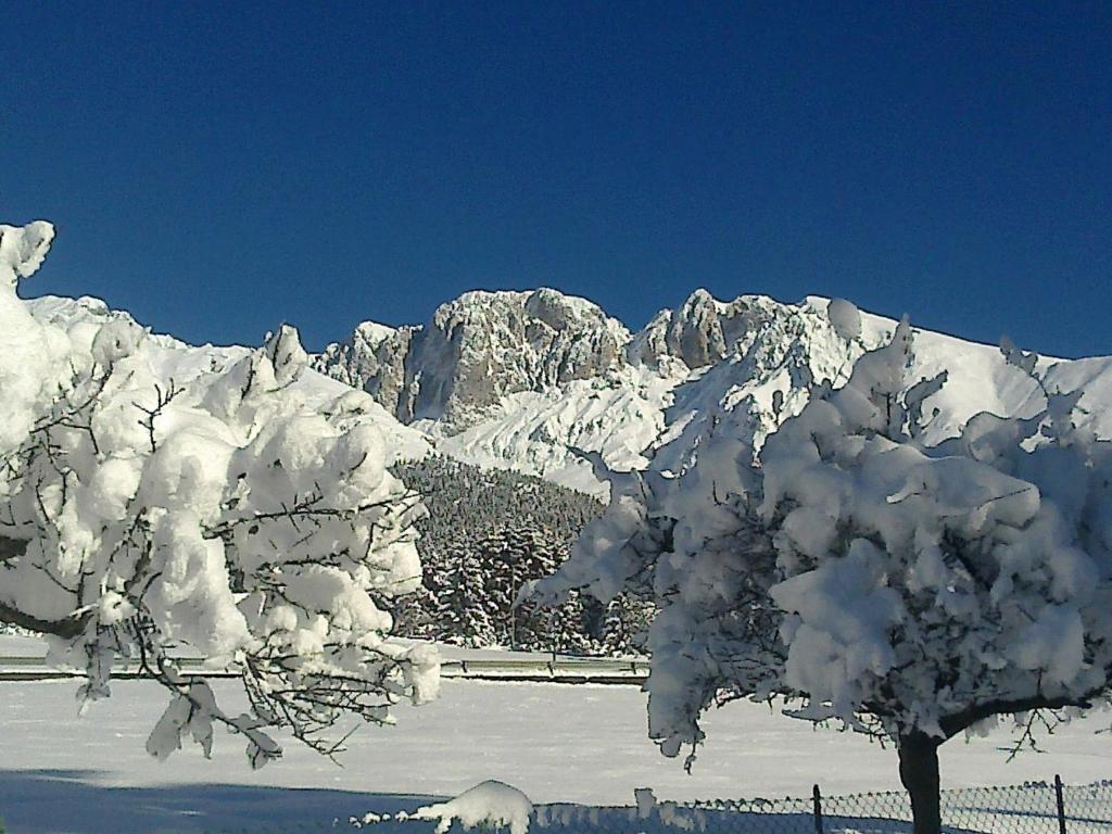 קסטיונה דלה פרסולאנה Hotel Des Alpes מראה חיצוני תמונה