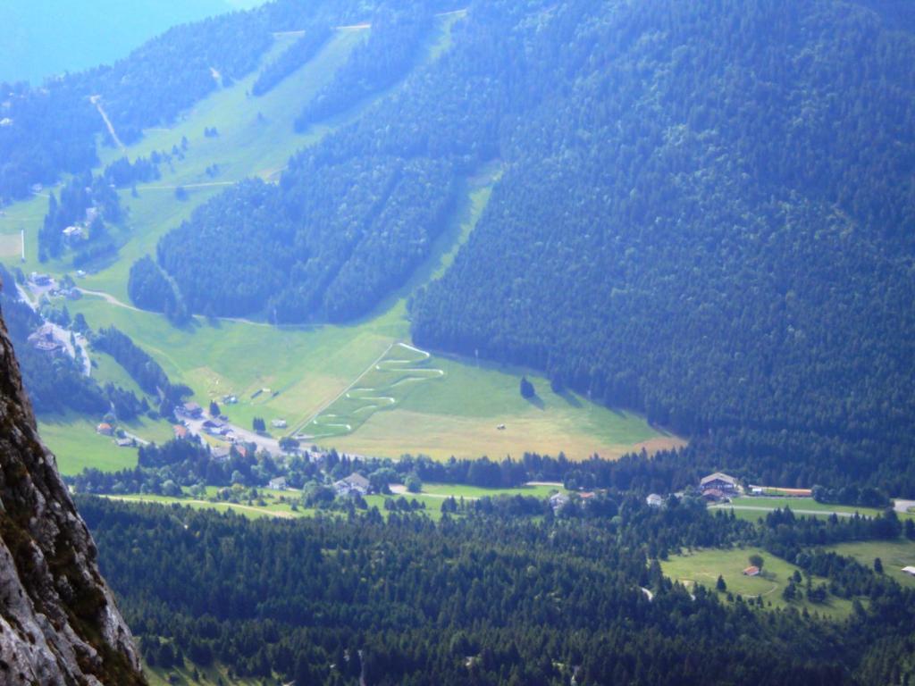 קסטיונה דלה פרסולאנה Hotel Des Alpes מראה חיצוני תמונה