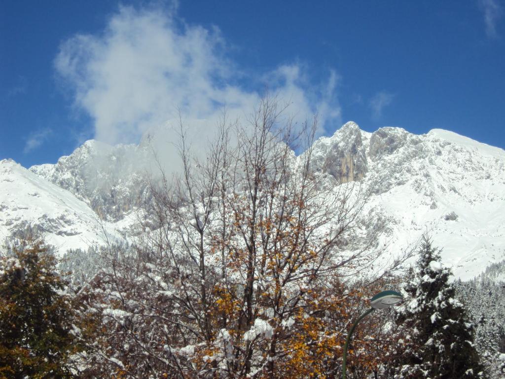 קסטיונה דלה פרסולאנה Hotel Des Alpes חדר תמונה