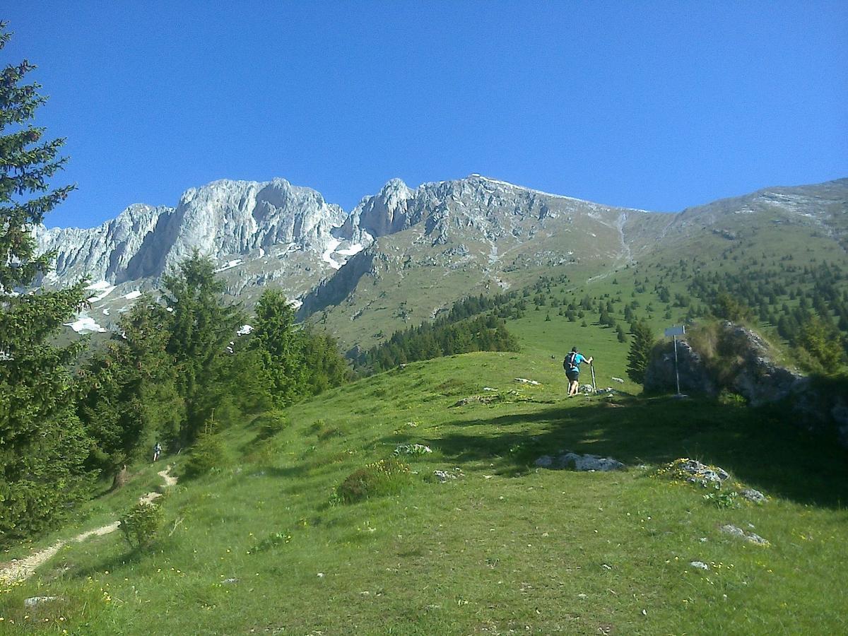 קסטיונה דלה פרסולאנה Hotel Des Alpes מראה חיצוני תמונה